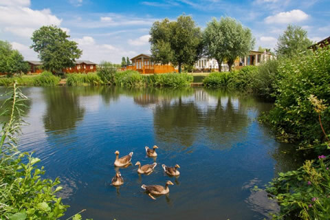 The Springs Holiday Park Open Weekend